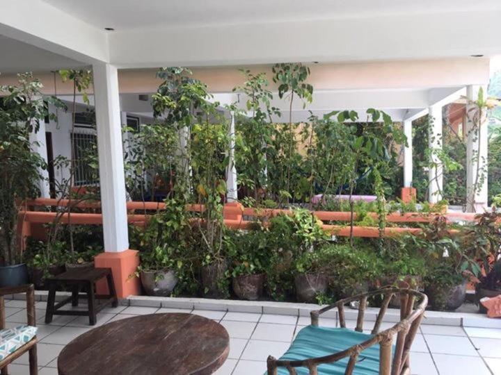 Pacíficos 2* Zihuatanejo
